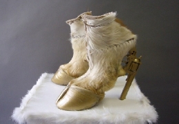 Taxidermy shoes