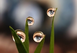 Amazing water drop reflection photography