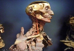 Remarkable italian mummies