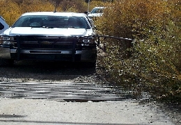 The Lucky Guy of the Day!