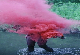 Pics taken at the right moment