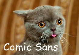 Font cats