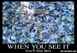 When you see it...