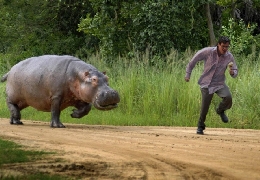 Run for your ice cream!