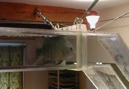 The best aquarium ever
