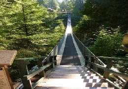 Amazing Capilano suspension bridge